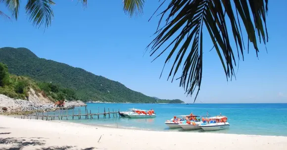 Tour Cù Lao Chàm 2 Ngày 1 Đêm | Lặn Ngắm San Hô & Cắm Trại Đêm Bãi Biển Hoang Sơ