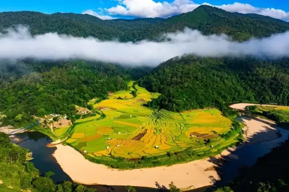 Nature Story