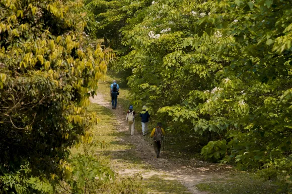 PHONG HUONG FOREST: TREKKING & CAMPING 2D1N